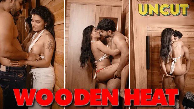 Resmi R Nair Wooden Heat 2024 UnRated Hindi Hot Video